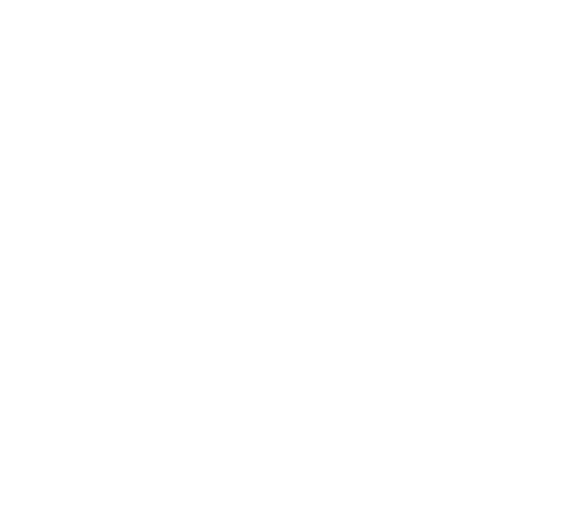 Everlast Roofing Logo